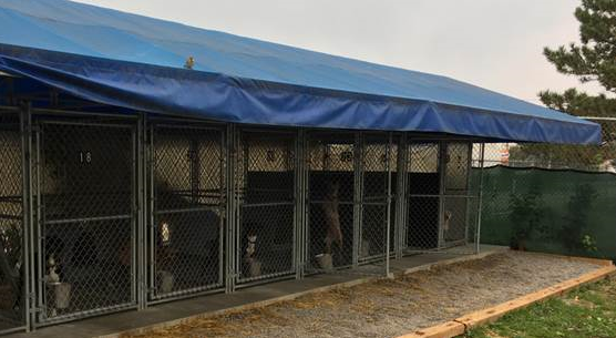 ingham kennels